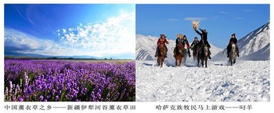 中國薰衣草之鄉 -- 新疆伊犁河谷薰衣草田；哈薩克族牧民馬上游戲 -- 叼羊